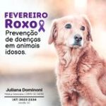 425518982_1147438519902348_2600682263169017077_n